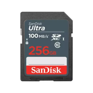 SD CL10: 256GB